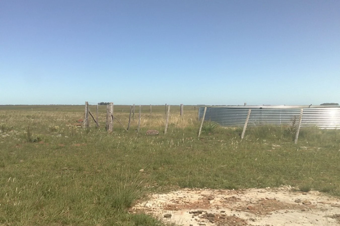 Campo en Bernabé Rivera, propiedad 234993 -Imagen 16