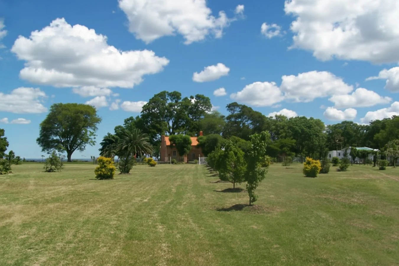 Campo en Bernabé Rivera, propiedad 234993 -Imagen 4