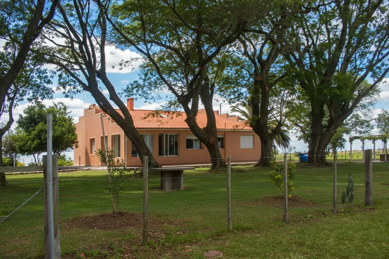 Campo en Bernabé Rivera, propiedad 234993 -Imagen 6