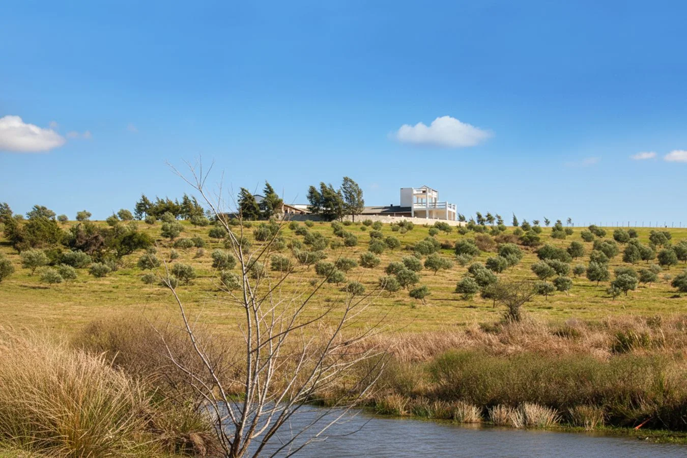 Campo en José Ignacio, propiedad 250842 -Imagen 3