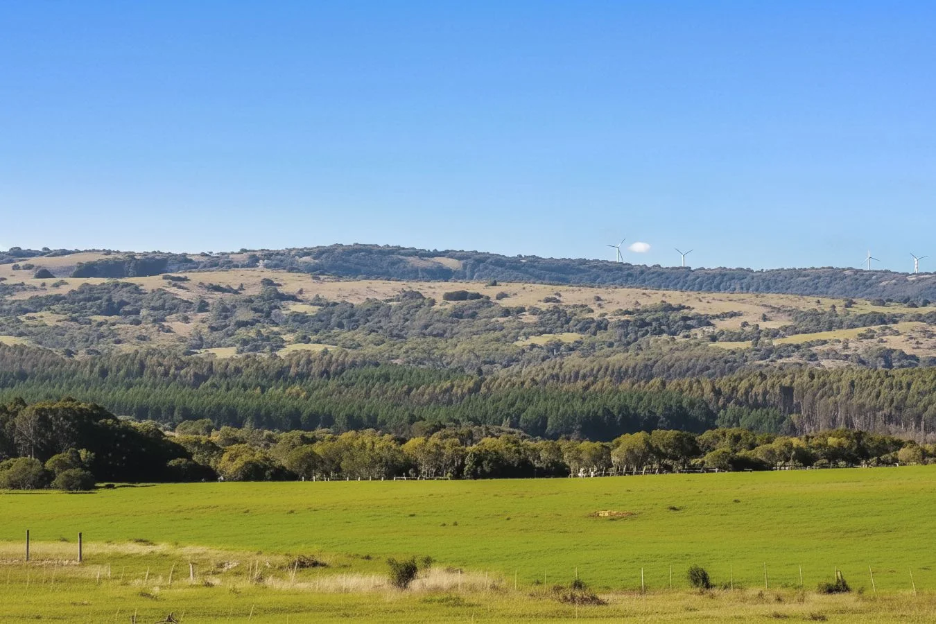 Campo en San Carlos, propiedad 252553 -Imagen 2