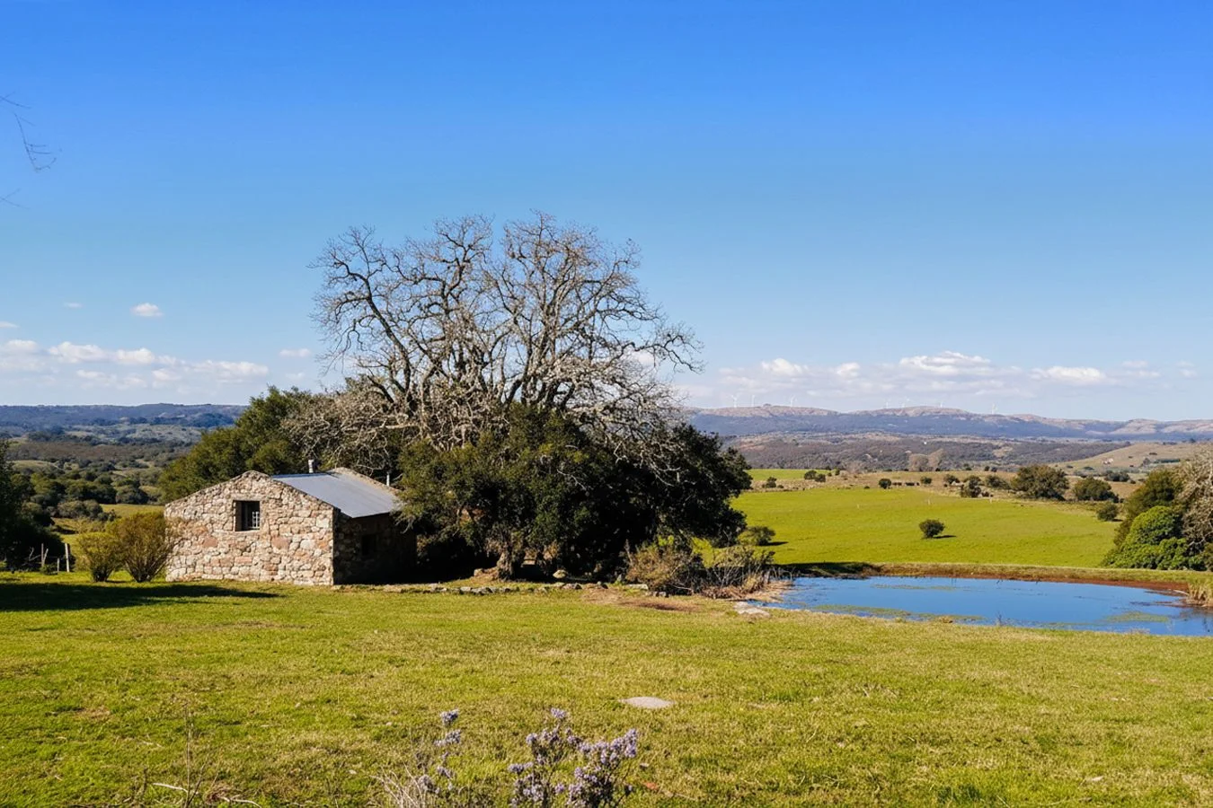 Campo en San Carlos, propiedad 252553 -Imagen 4
