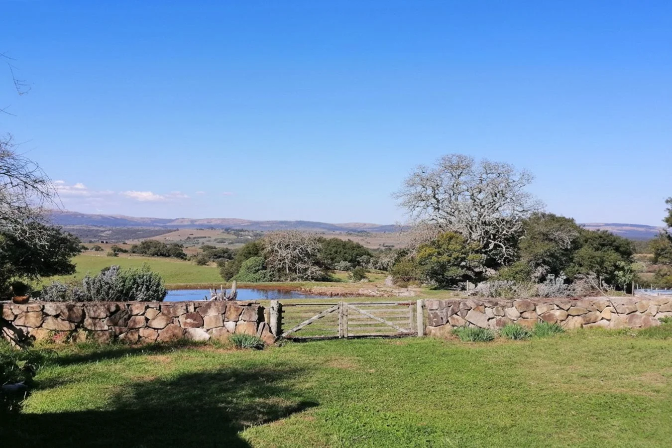 Campo en San Carlos, propiedad 252553 -Imagen 5
