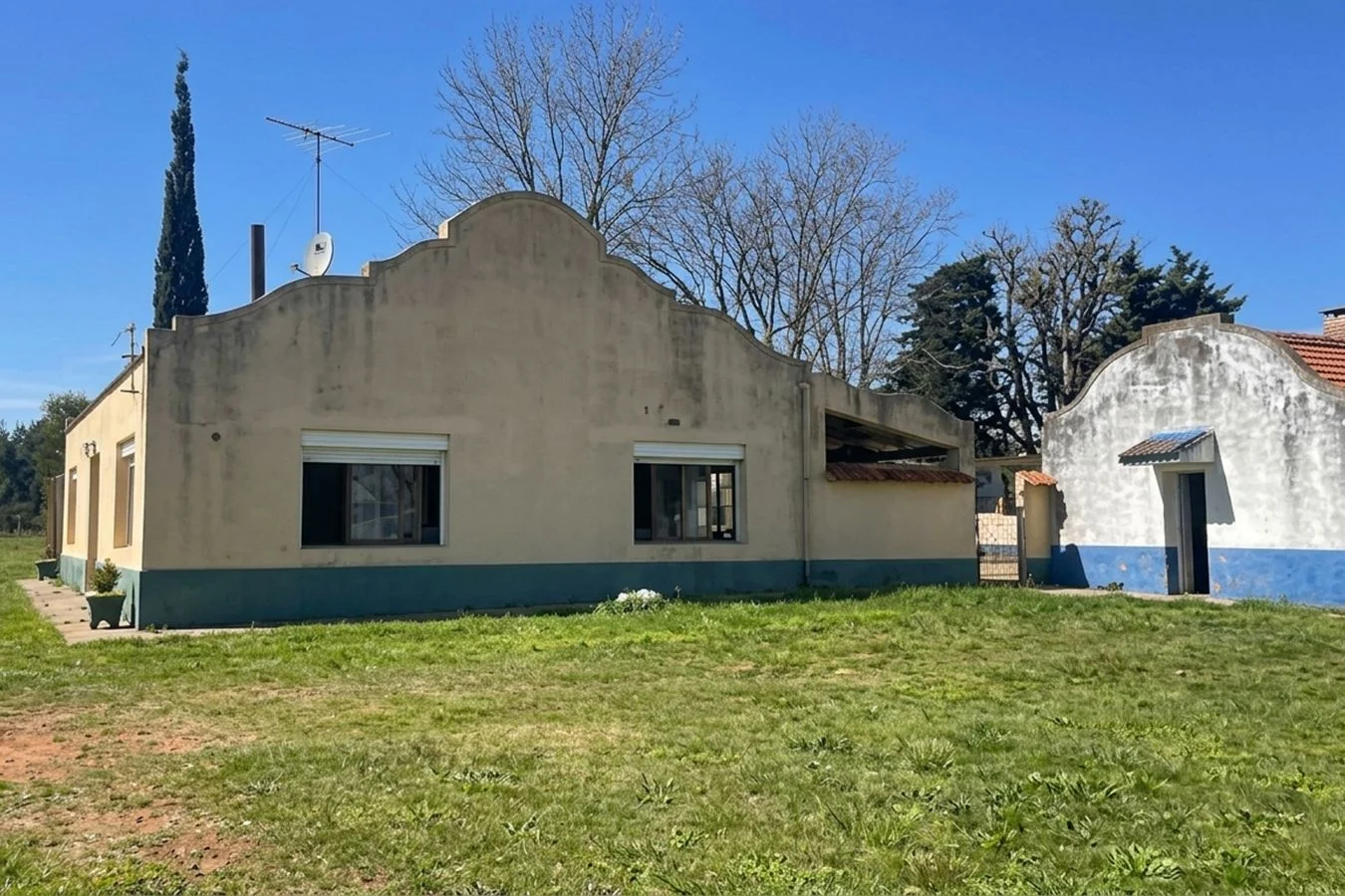 Campo en Zapicán, propiedad 253580 -Imagen 4