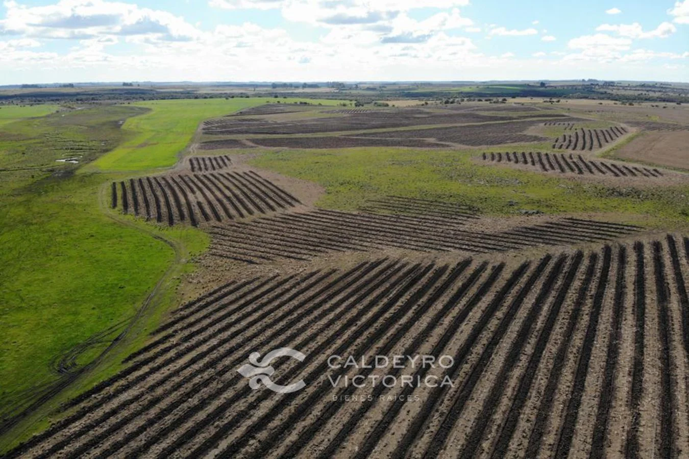 Campo en Grecco, propiedad 253581 -Imagen 1
