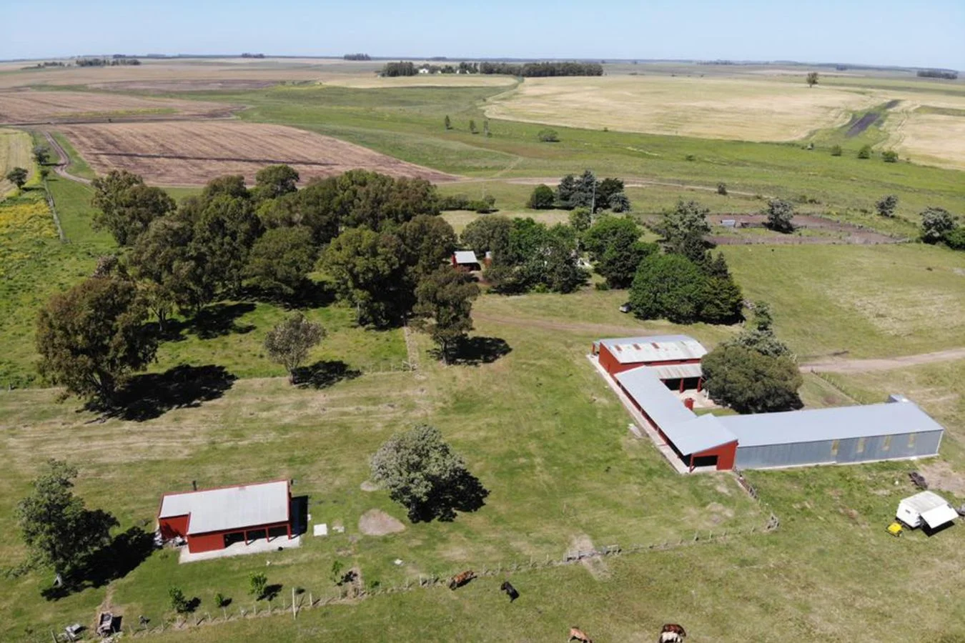 Campo en Grecco, propiedad 253581 -Imagen 3