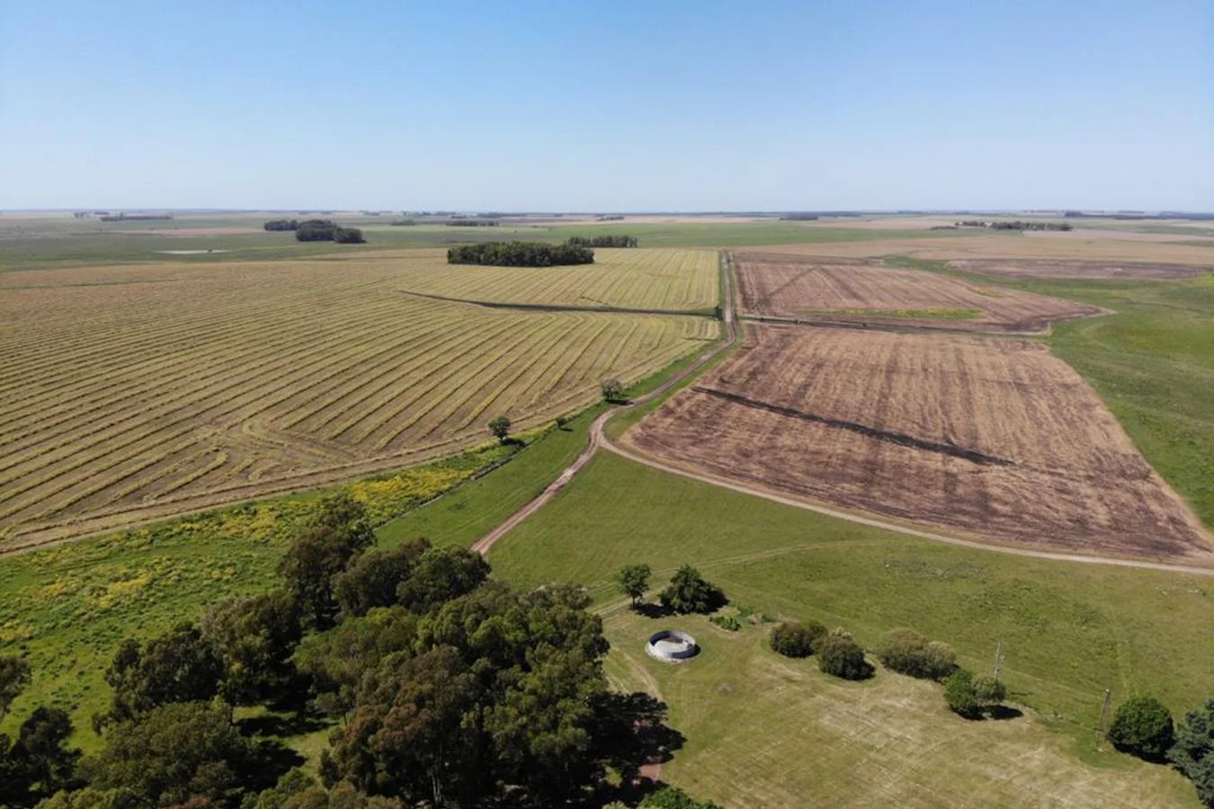 Campo en Grecco, propiedad 253581 -Imagen 6