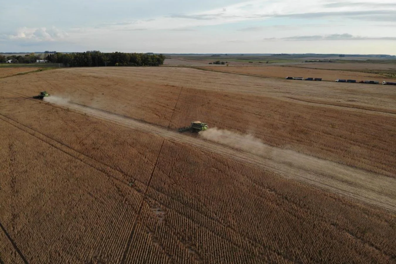 Campo en Grecco, propiedad 253581 -Imagen 7