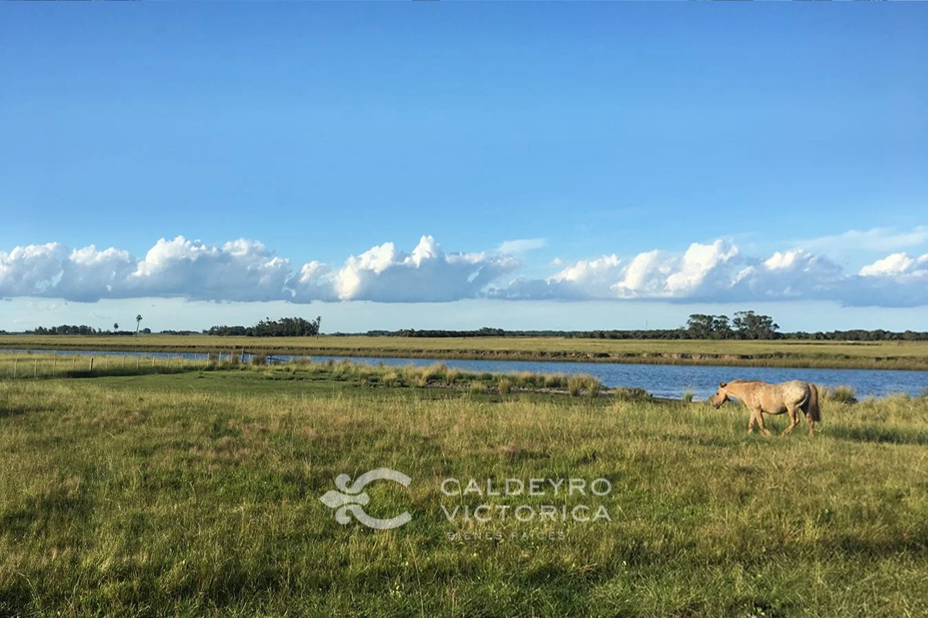 Campo en Valizas, propiedad 254502 -Imagen 1