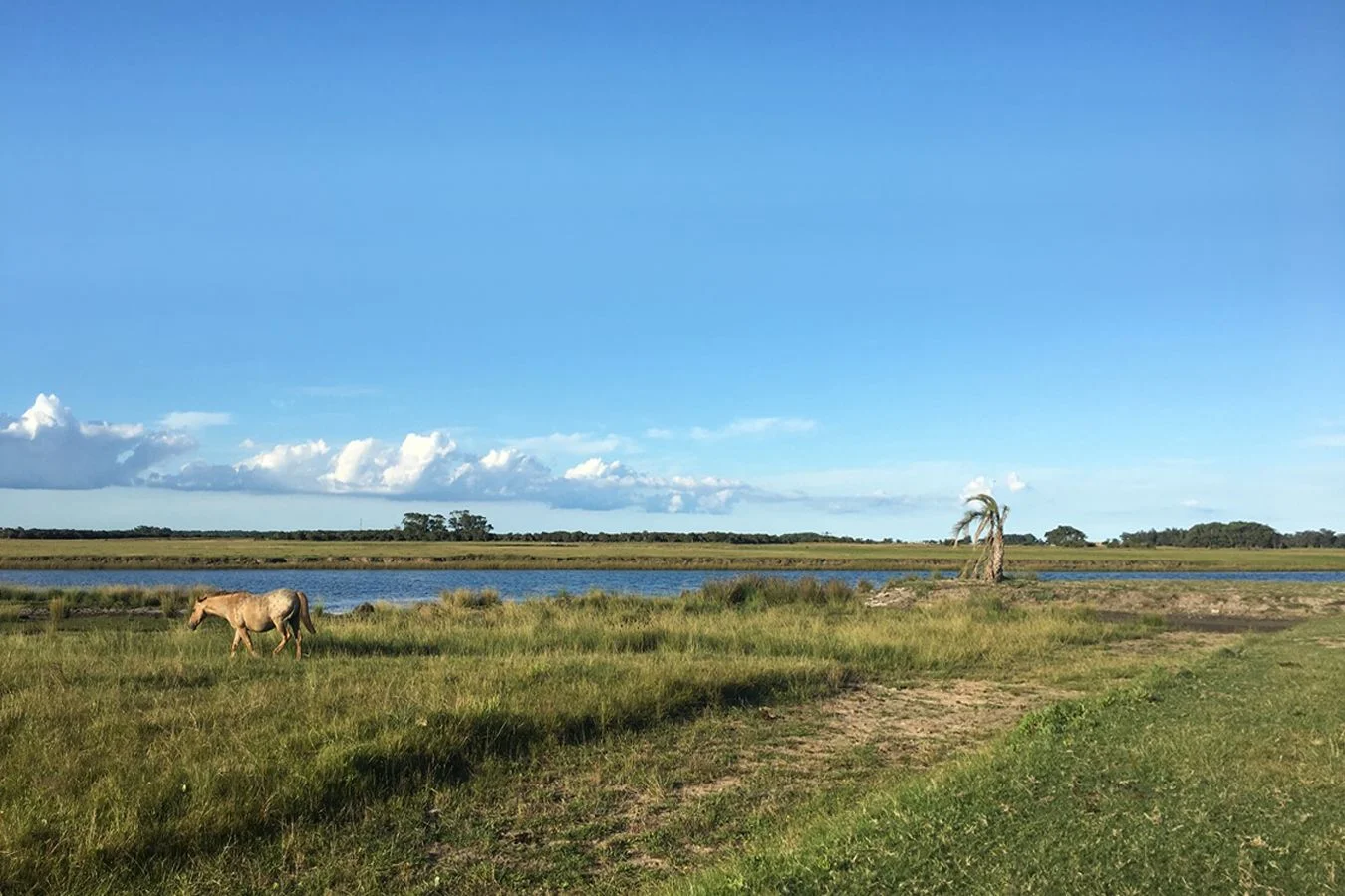 Campo en Valizas, propiedad 254502 -Imagen 2