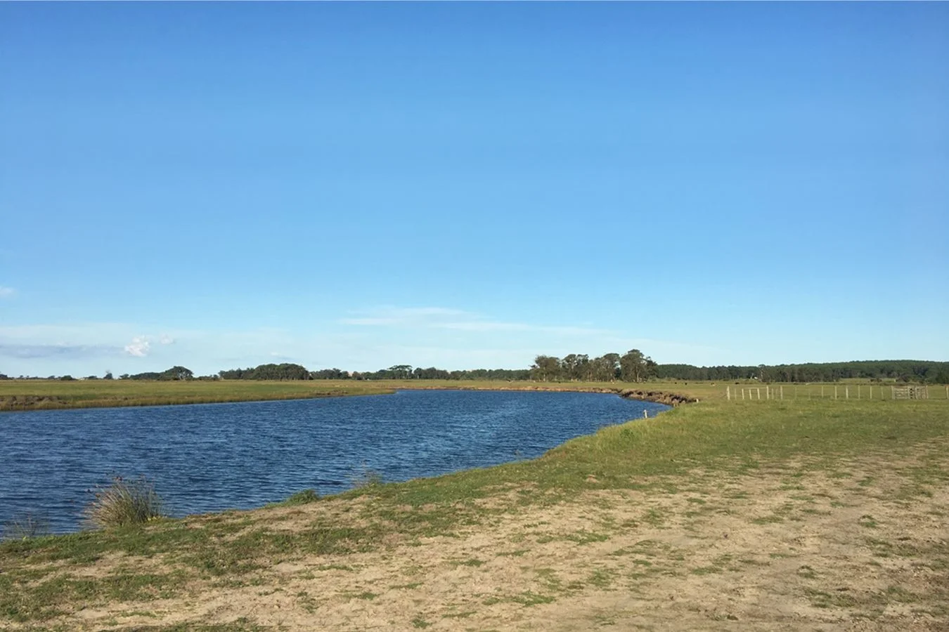Campo en Valizas, propiedad 254502 -Imagen 5