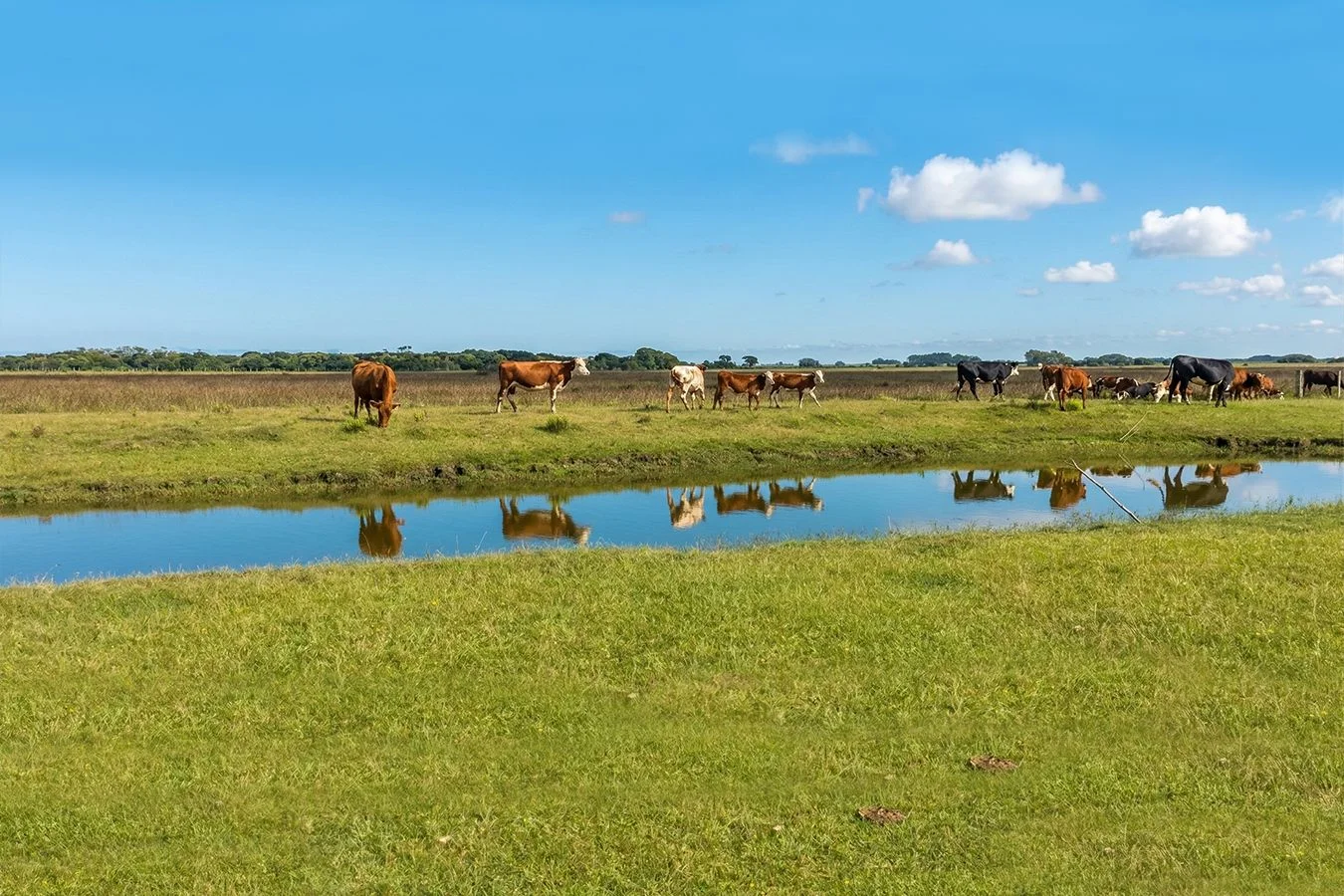 Campo en Valizas, propiedad 254502 -Imagen 7