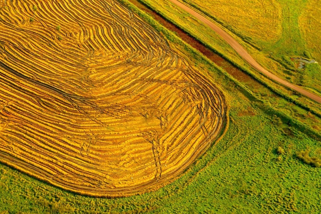 Campo en Chuy, propiedad 254504 -Imagen 3