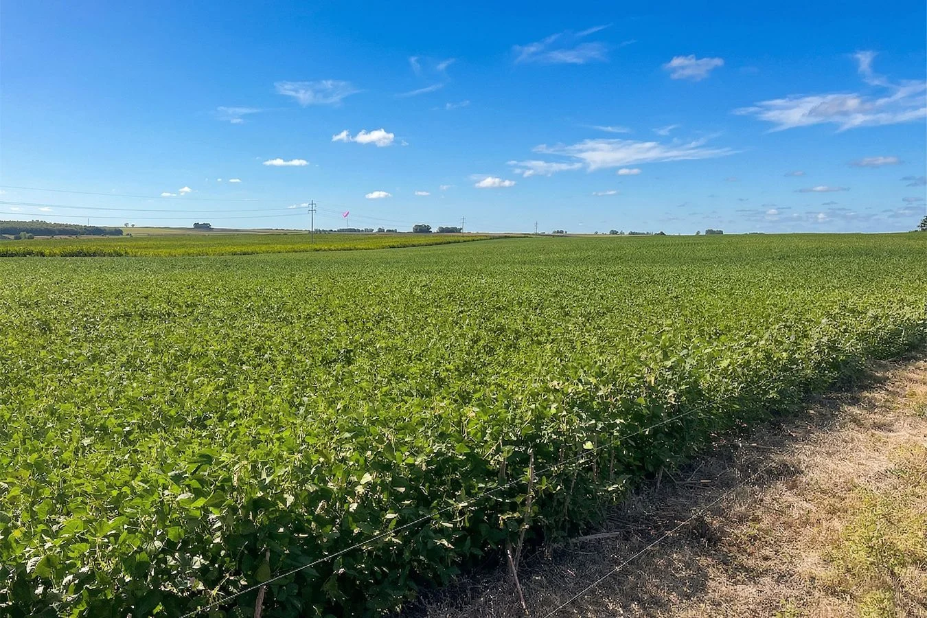 Campo en Trinidad, propiedad 257365 -Imagen 10
