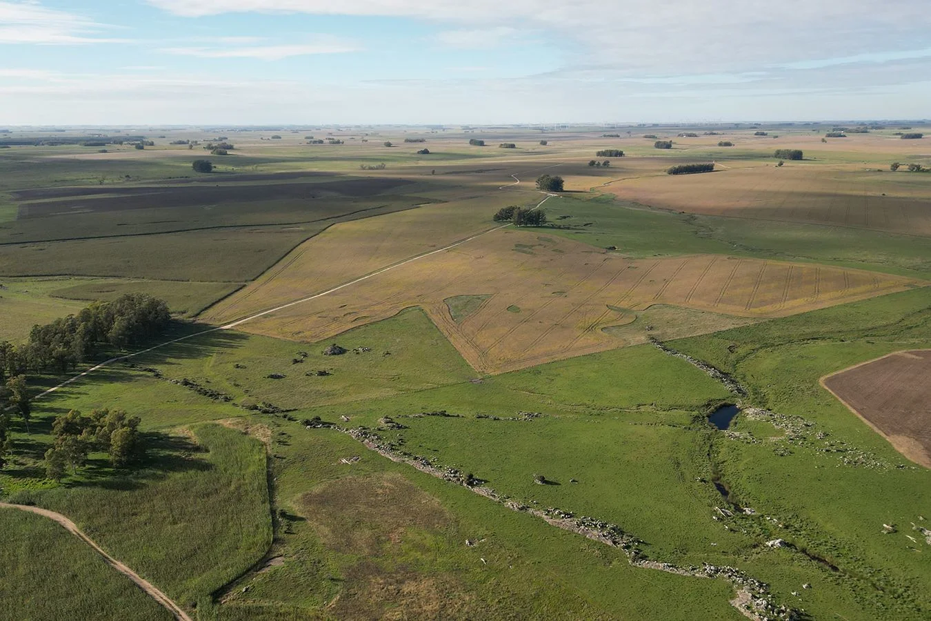 Campo en Trinidad, propiedad 257365 -Imagen 2