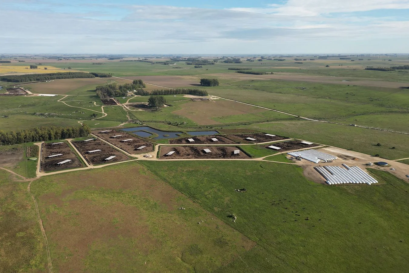 Campo en Trinidad, propiedad 257365 -Imagen 4