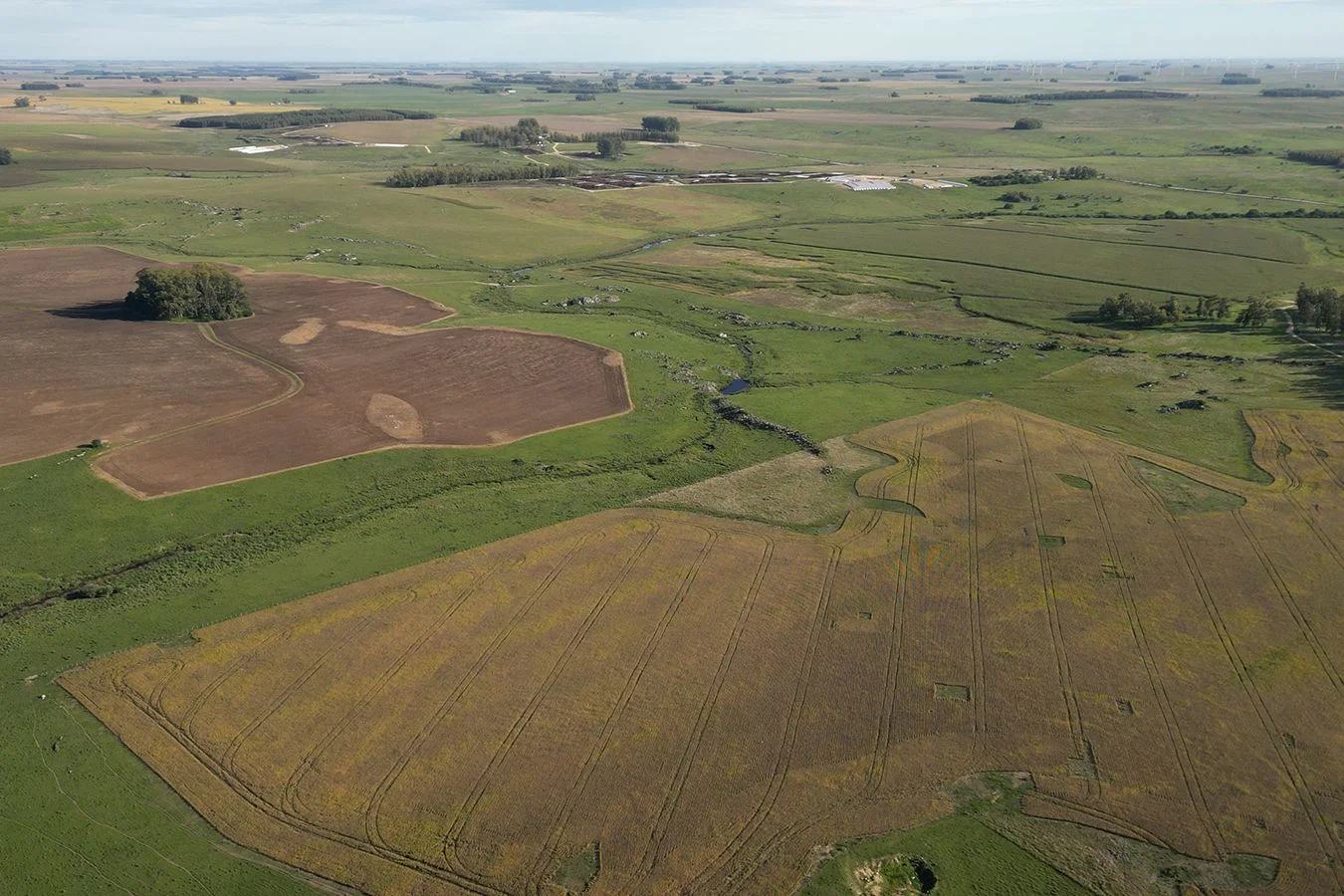 Campo en Trinidad, propiedad 257365 -Imagen 6