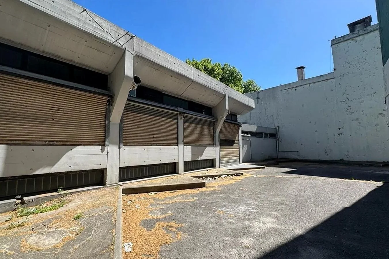 Terreno en La Blanqueada, propiedad 261697 -Imagen 4