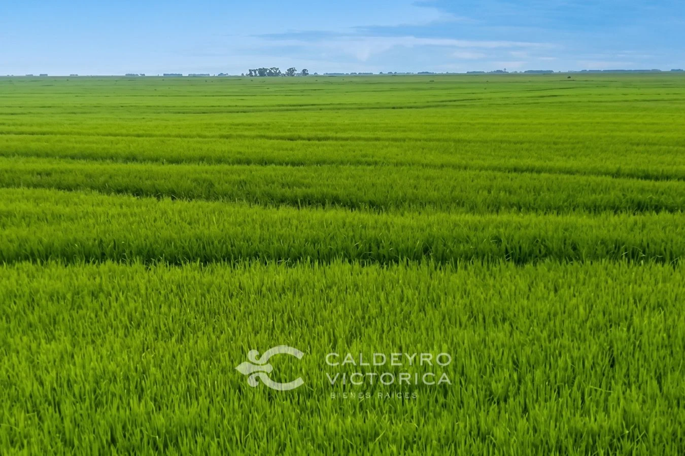 Campo en Chuy, propiedad 267009 -Imagen 1