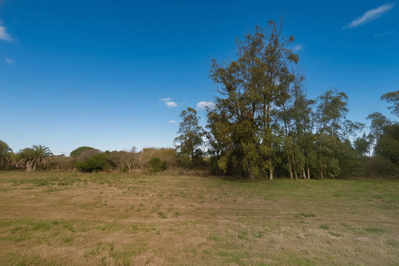 Campo en José Ignacio, propiedad 268192 -Imagen 2