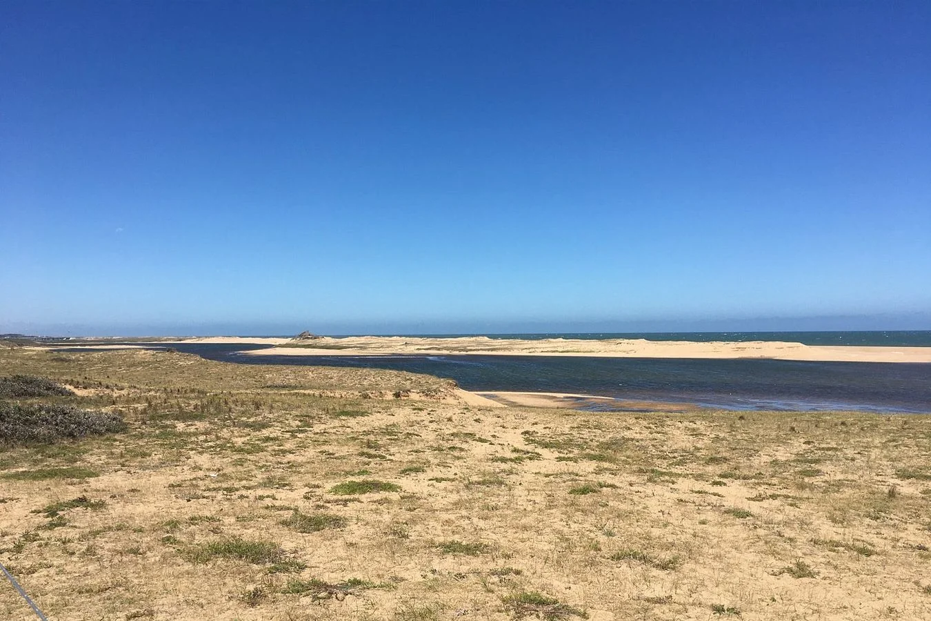 Campo en José Ignacio, propiedad 268192 -Imagen 4