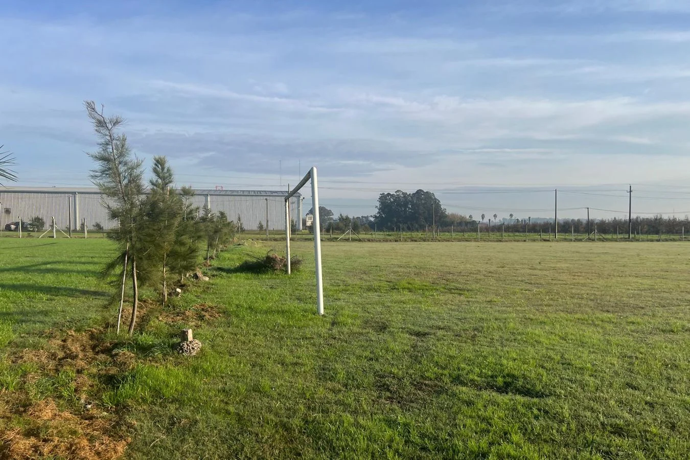 Terreno en Paso de la Arena, propiedad 272249 -Imagen 7
