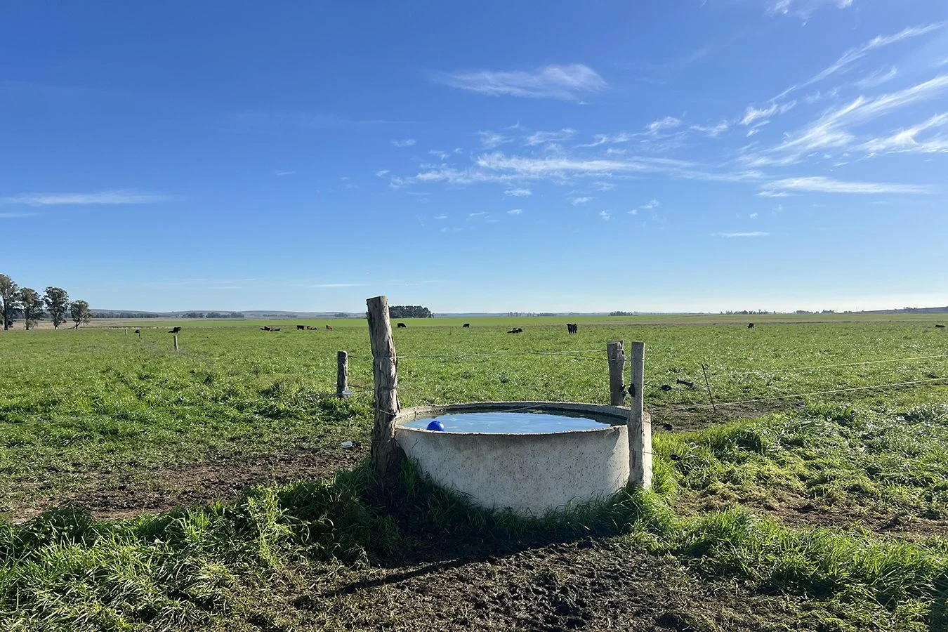 Campo en Lascano, propiedad 275956 -Imagen 12