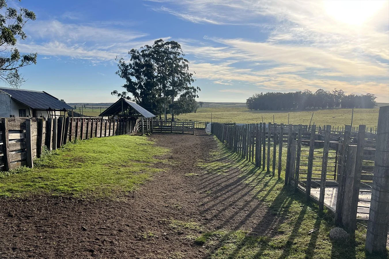 Campo en Lascano, propiedad 275956 -Imagen 14