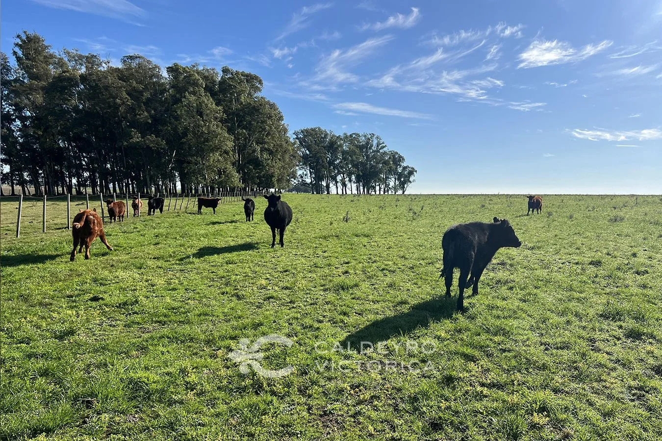 Campo en Lascano, propiedad 275956 -Imagen 2