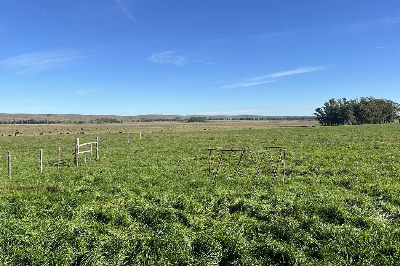 Campo en Lascano, propiedad 275956 -Imagen 4