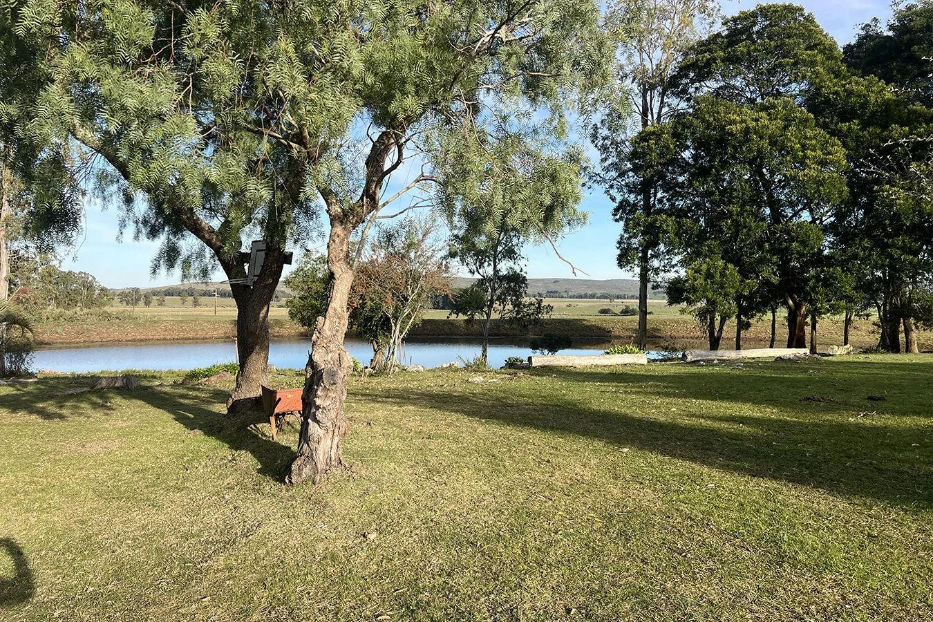 Campo en Lascano, propiedad 275956 -Imagen 8