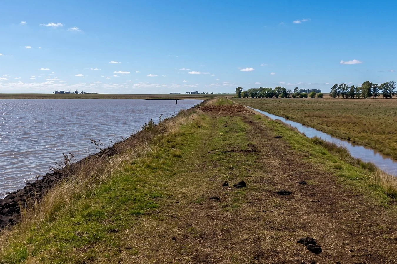 Campo en Salto, propiedad 276431 -Imagen 4