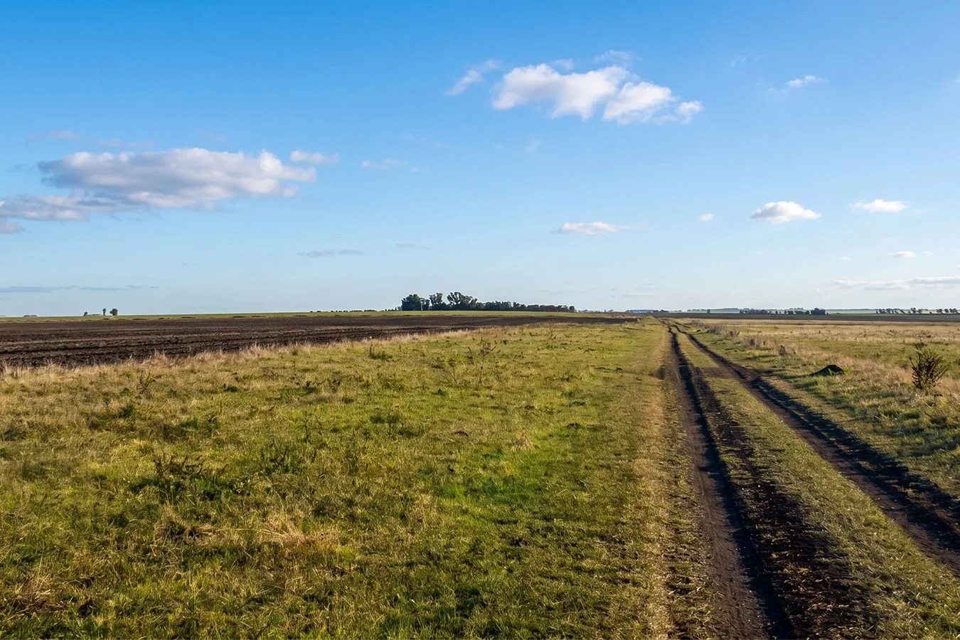 Campo en Salto, propiedad 276431 -Imagen 7
