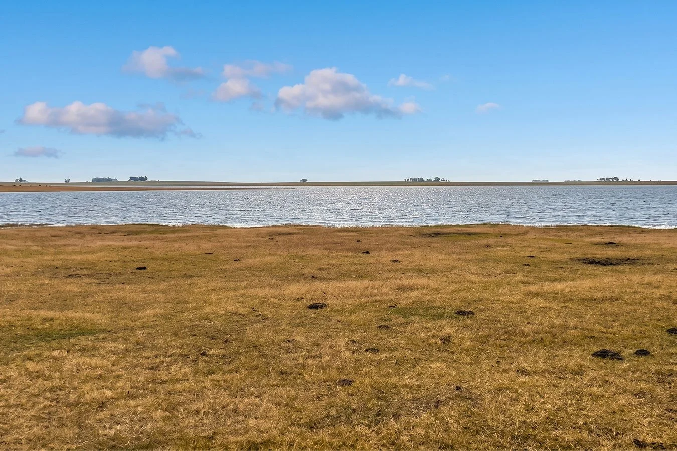 Campo en Salto, propiedad 276431 -Imagen 8