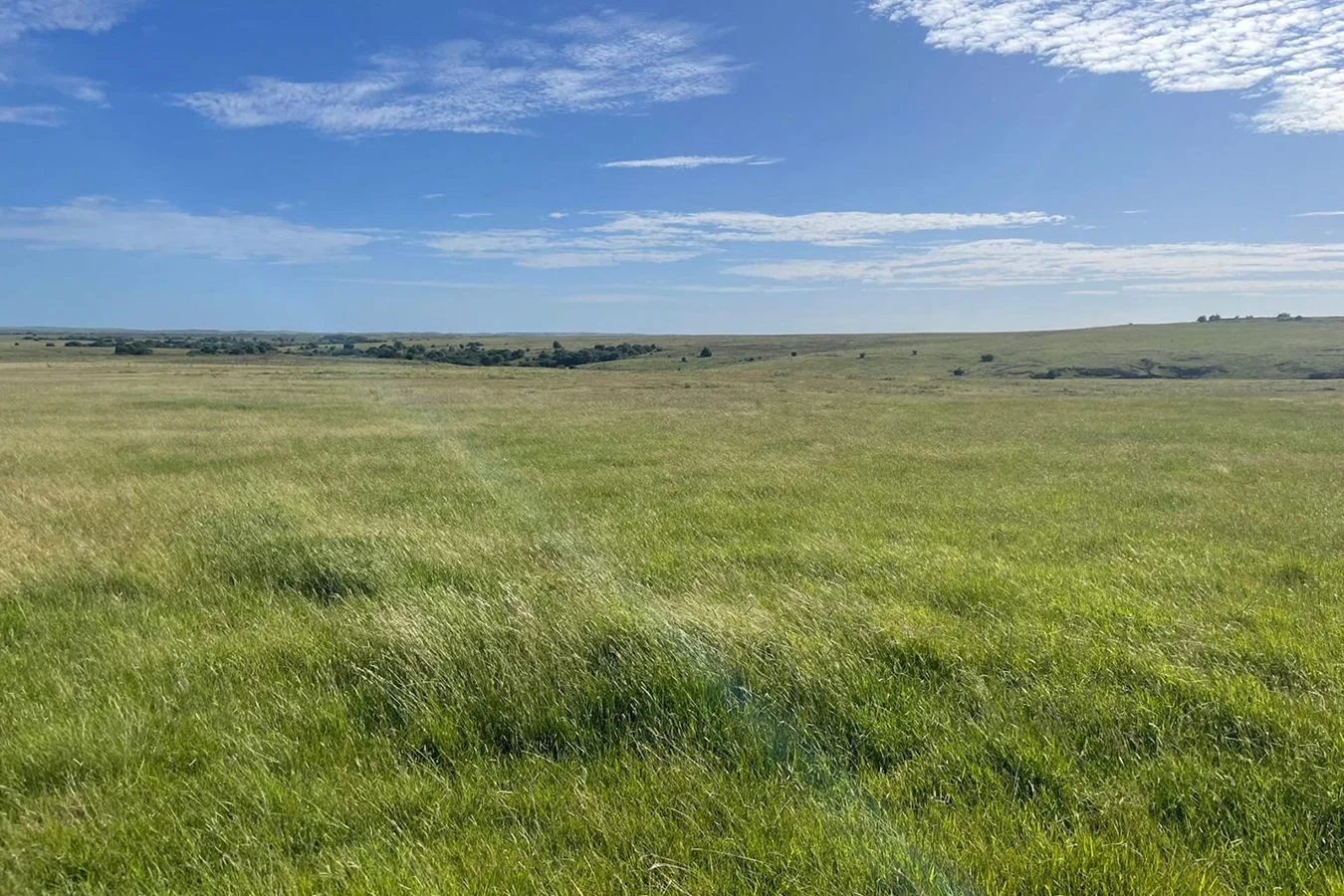 Campo en Aigua, propiedad 284588 -Imagen 3