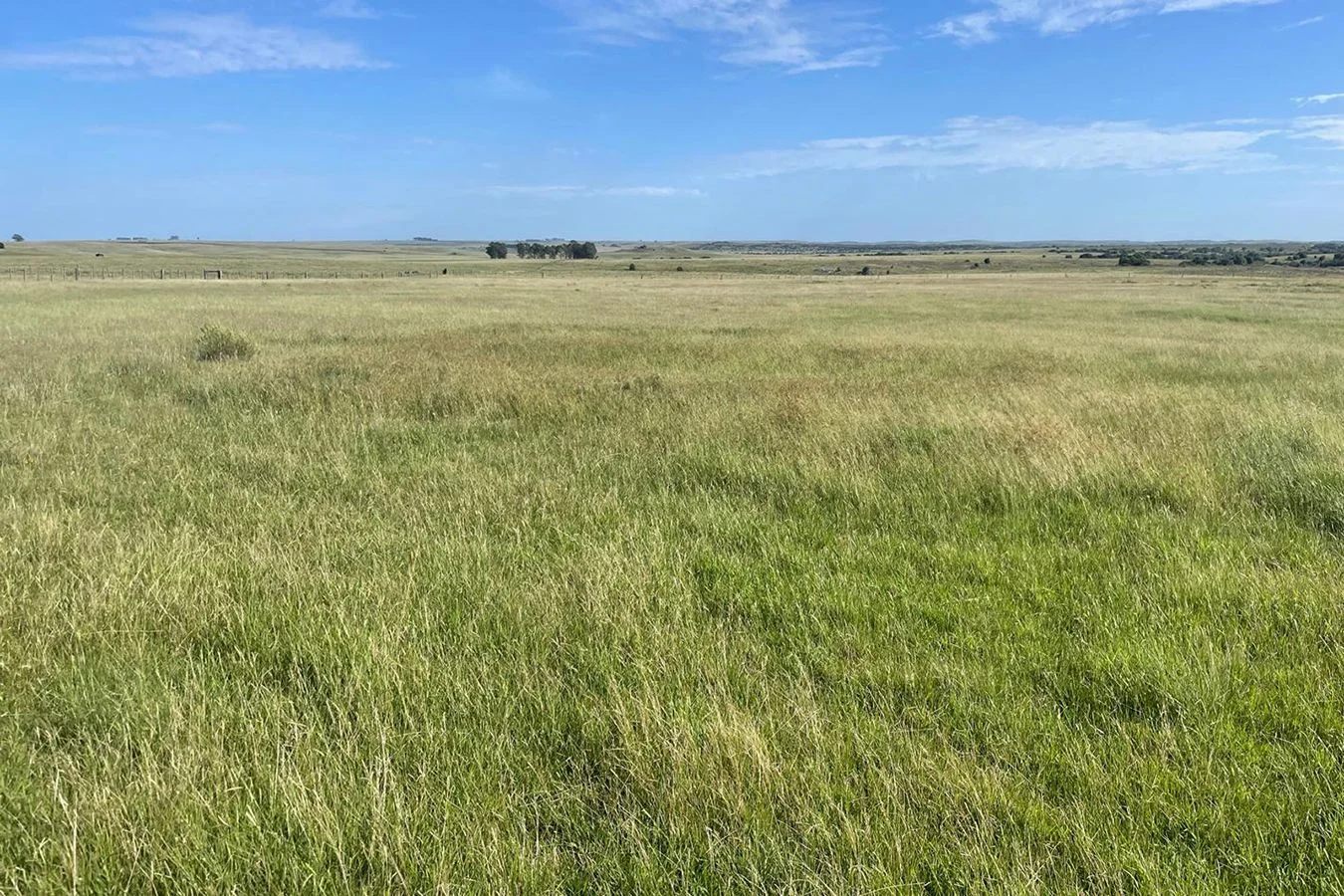 Campo en Aigua, propiedad 284773 -Imagen 4