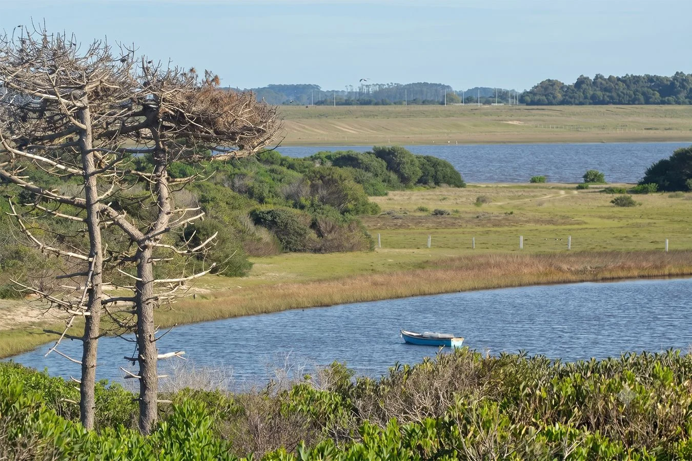 Campo en Garzón, propiedad 284882 -Imagen 3