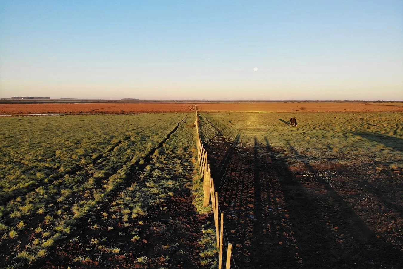 Campo en Bella Unión, propiedad 286476 -Imagen 5