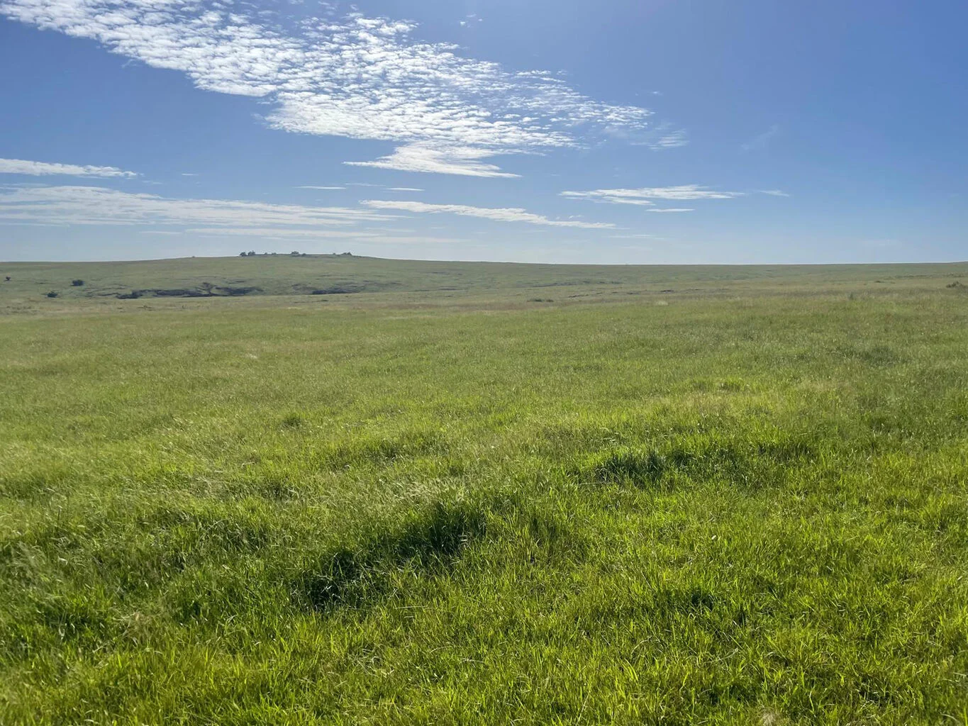 Campo en Castillos, propiedad 298689 -Imagen 2