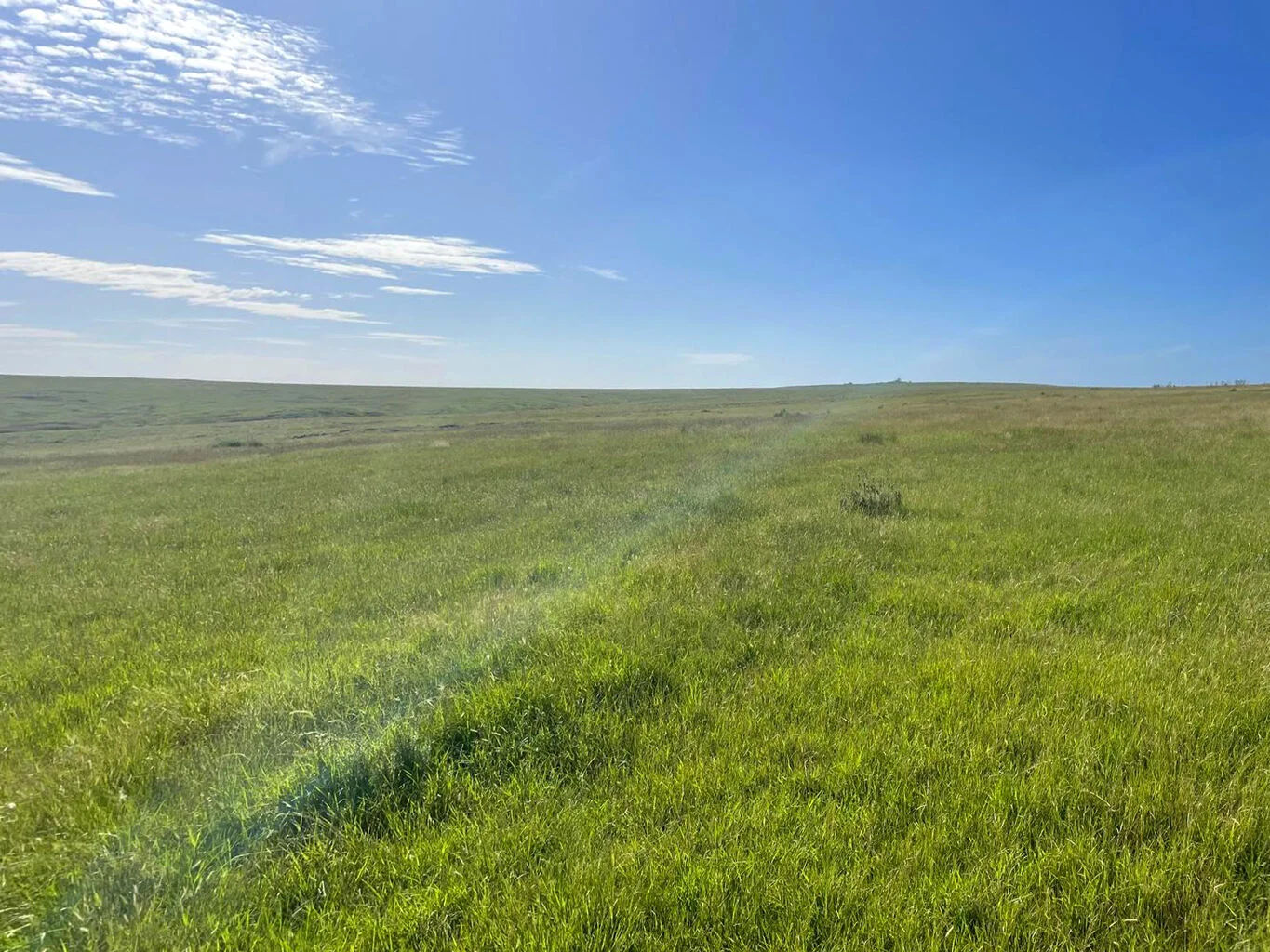 Campo en Castillos, propiedad 298689 -Imagen 3
