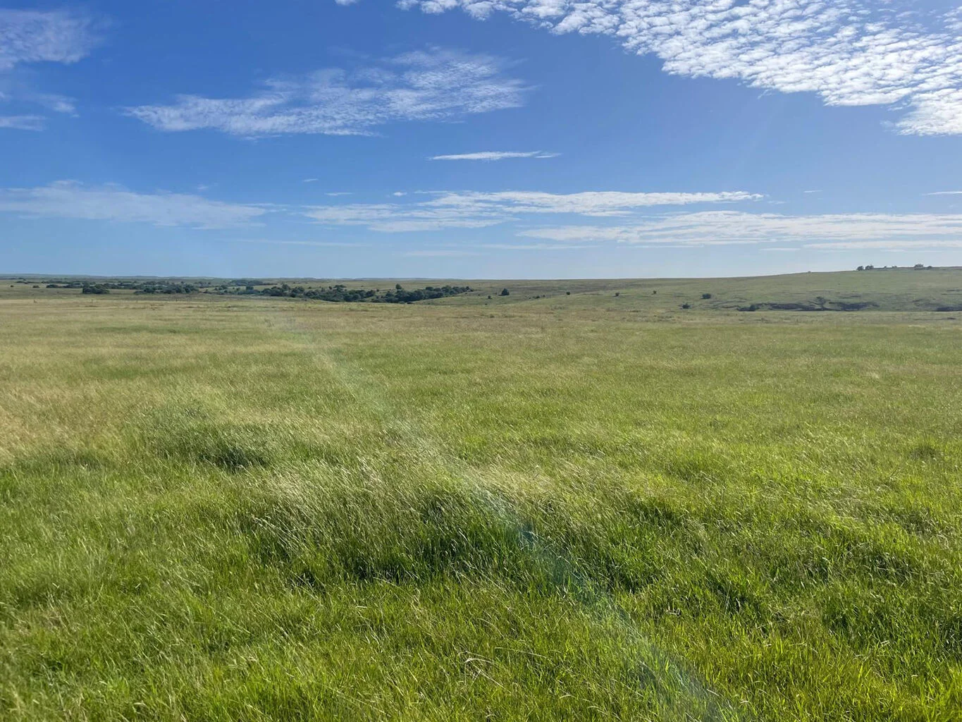 Campo en Castillos, propiedad 298689 -Imagen 4