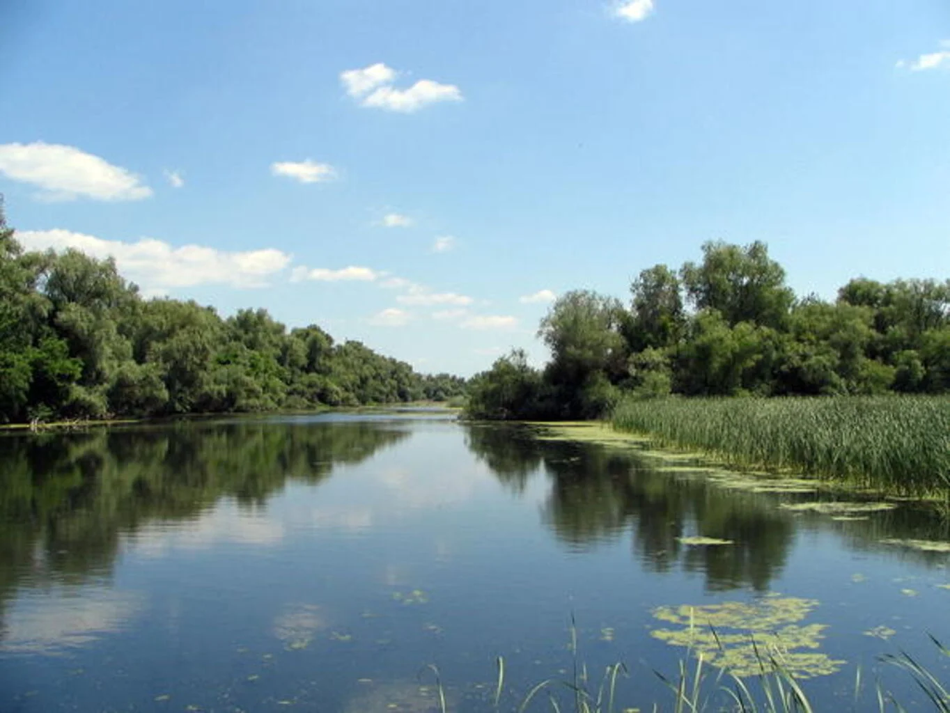 Campo en Rocha, propiedad 298690 -Imagen 4