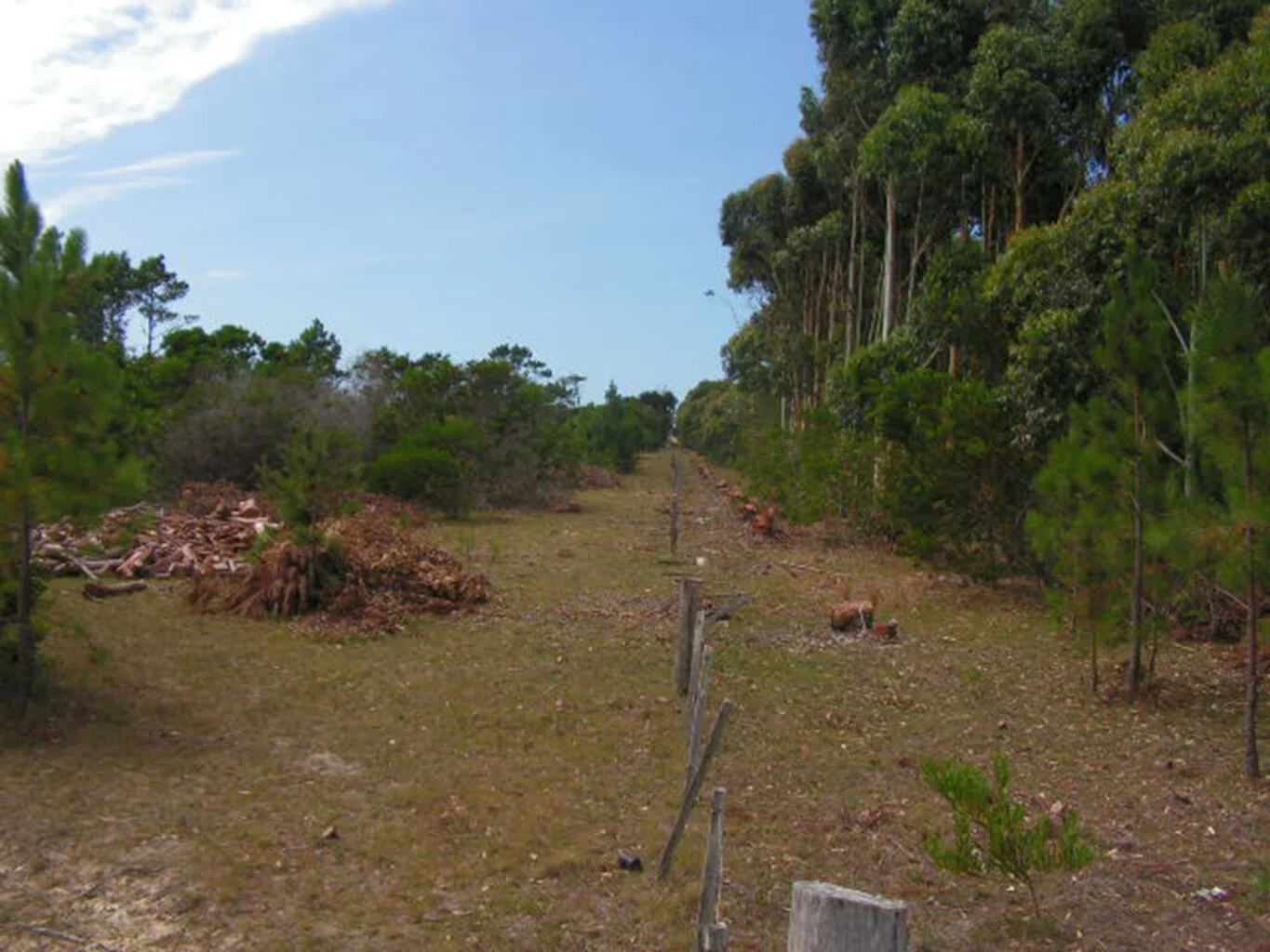 Chacra en La Coronilla, propiedad 298691 -Imagen 6
