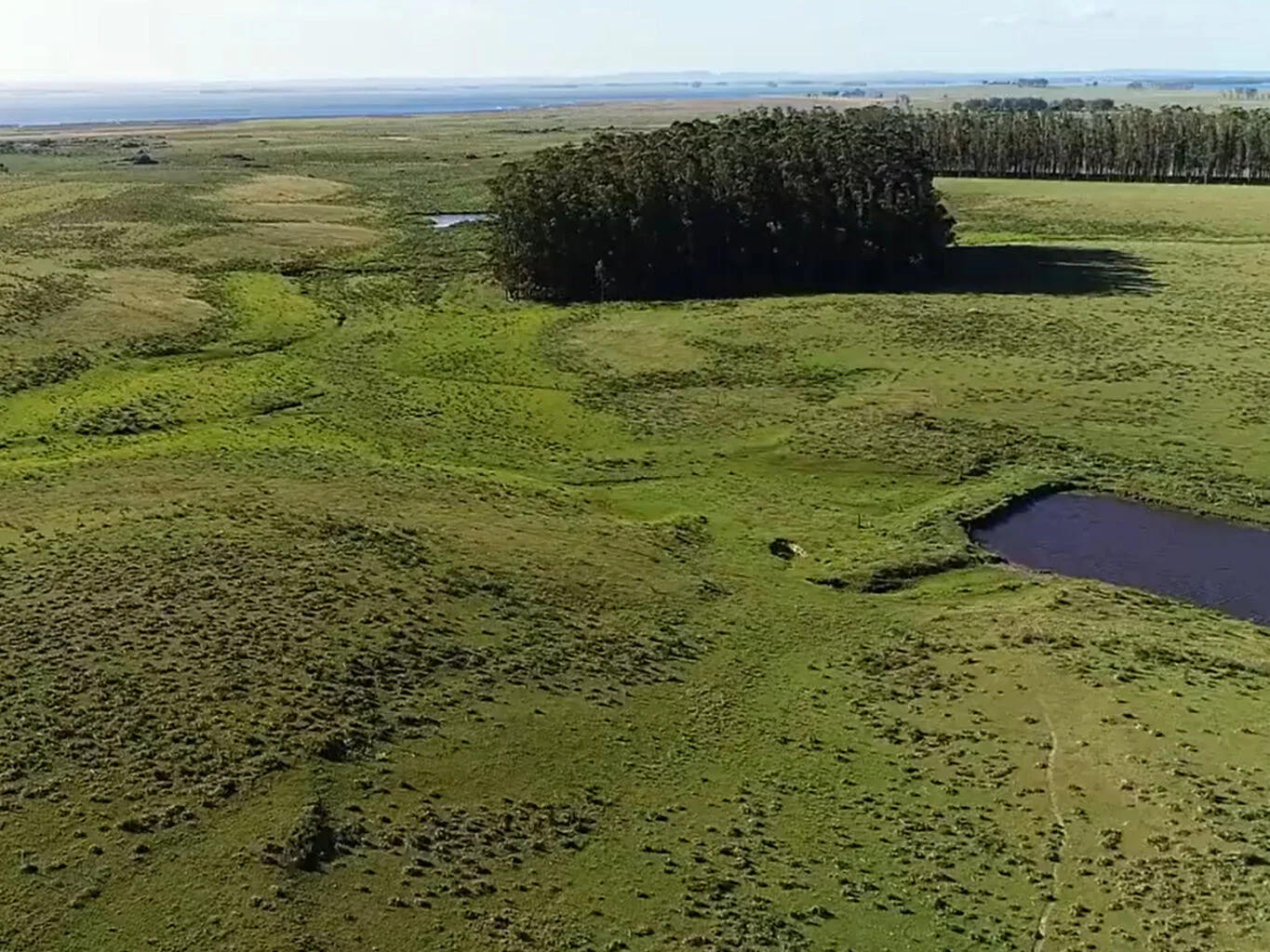 Campo en La Paloma, propiedad 298692 -Imagen 8