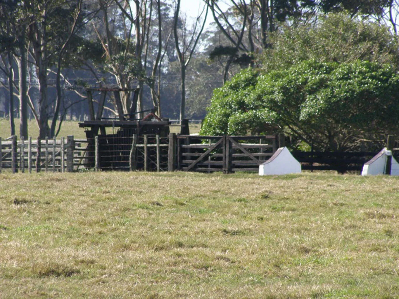 Campo en La Paloma, propiedad 298692 -Imagen 20