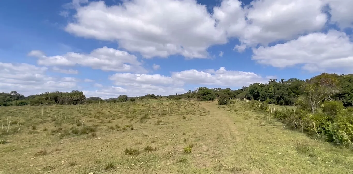 Campo en Castillos, propiedad 298693 -Imagen 1