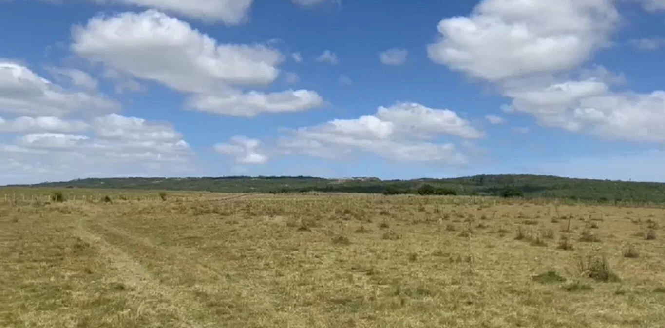 Campo en Castillos, propiedad 298693 -Imagen 2