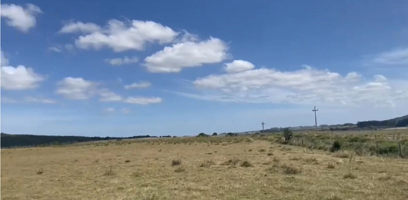 Campo en Castillos, propiedad 298693 -Imagen 3