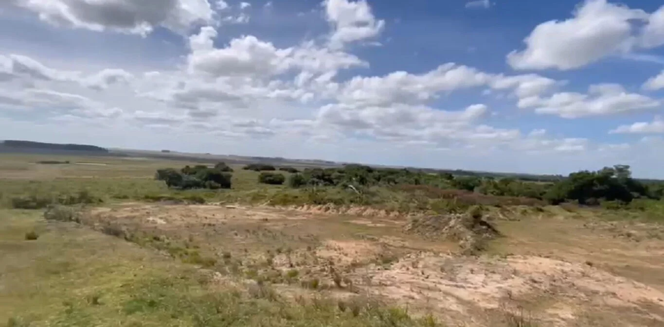 Campo en Castillos, propiedad 298693 -Imagen 5