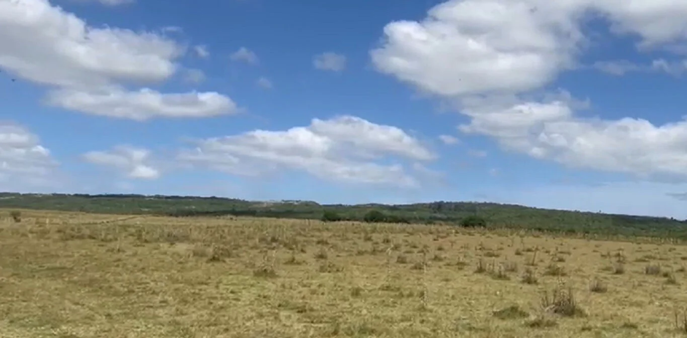Campo en Castillos, propiedad 298693 -Imagen 6